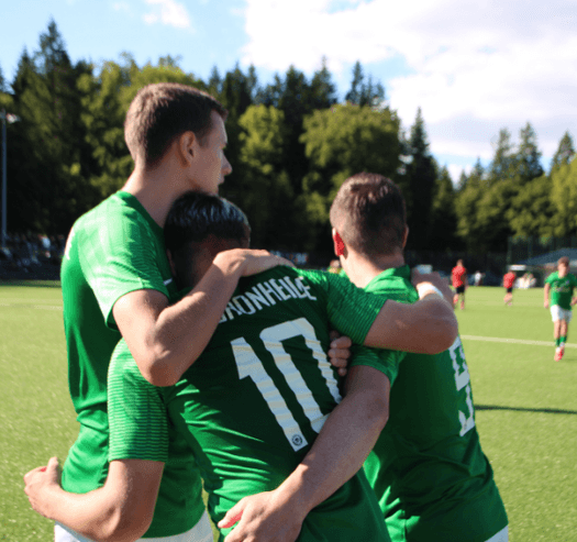 FC Schönheide  herren